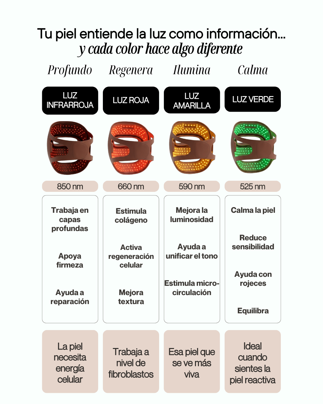 SPECTRA BY EUPHORA